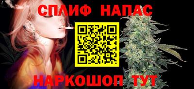 дурь Будённовск