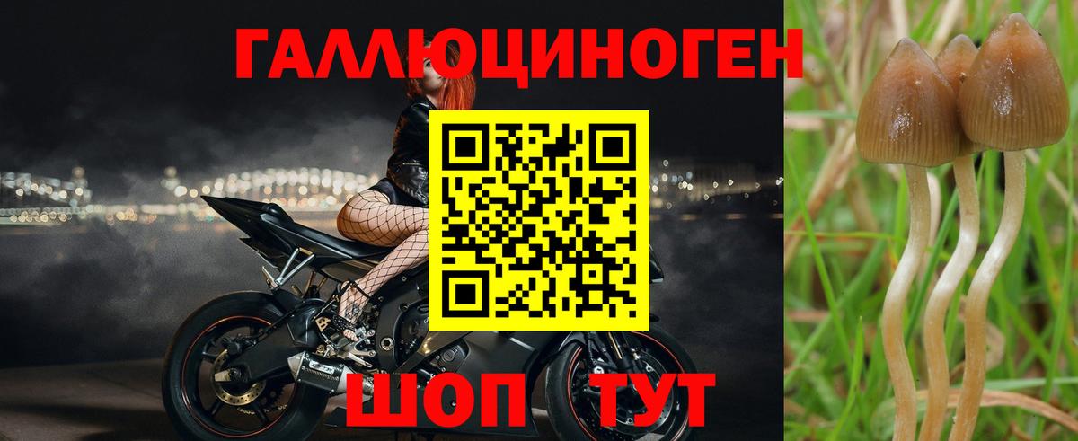 Псилоцибиновые грибы прущие грибы  Вход с VPN  что такое   Кубинка 